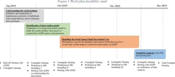 Figure 1 Work plan feasibility study 