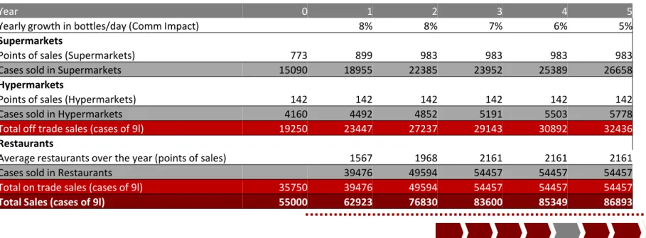 Table 13 – Sales Evolution over the Project Plan 