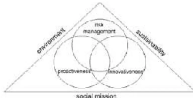Figure 1: The Model by Weerawardena (2006)