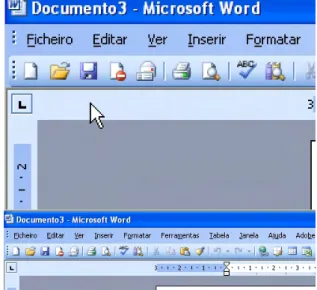Figura 5 – Exemplo de um ampliador de ecrã: Microsoft Magnifier 