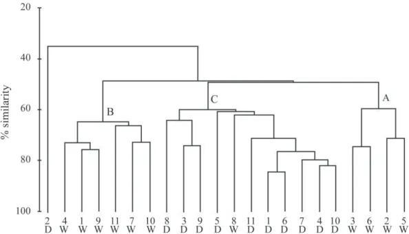 Figure 12. Cluster analysis performed for samples-species data matrixes of the two seasons in sampling stations on the inner shelf adjacent to Camamu Bay.