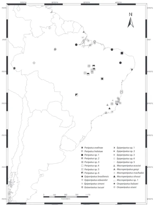 Figure 9. Map showing the known distribution of the 24 morphospecies of Onychophora from Brazil.