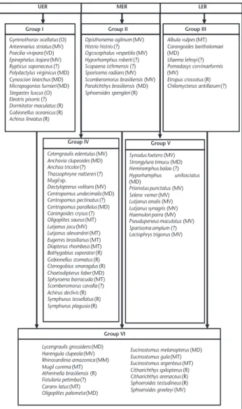 Figure 2. Groups of fishes distributed among the upper (UER), mid (MER), and lower (LER) estuarine regions of the Rio Formoso, and their corresponding classification: resident (R),  marine-depen-dent (MD), migrants in trophic ecophase (MT), marine visitors
