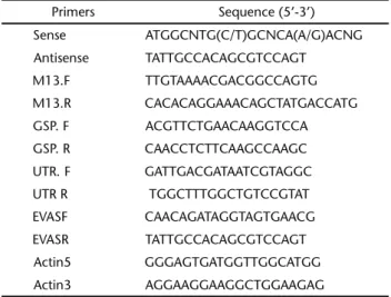 Table I Primers for PCR amplification and analysis.