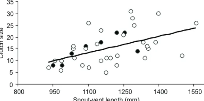 Figure 5. Relationship between snout-vent length (SVL) and clutch size in female Mastigodryas  bifossatus in subtropical Brazil
