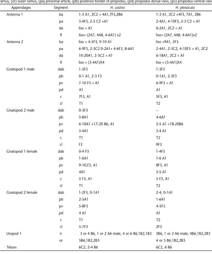 Table V. Distribution of cuticular structures of H. castroi e H. pleoacuta. setae: (A) simple, (B) cuspidate, (C) plumose, (D) pappose, (E) serrulate, (F) serrate, (G) papposerrate