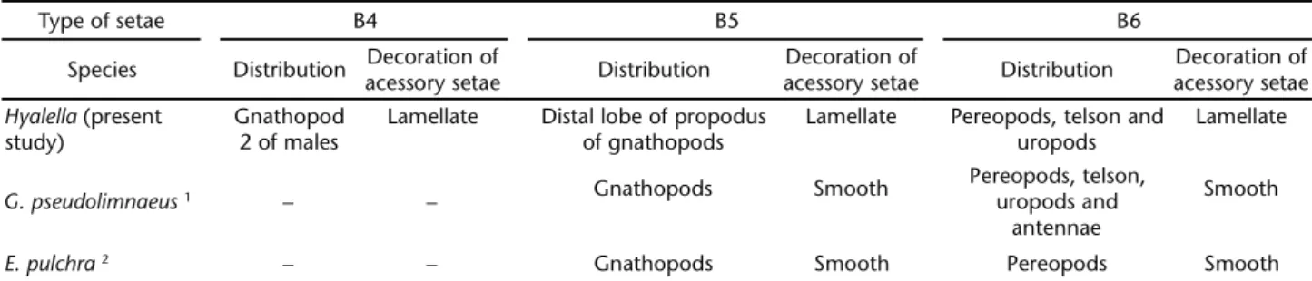 Table VI. Distribution and morphology of cuspidate seta with acessory seta in some Amphipoda and Isopoda