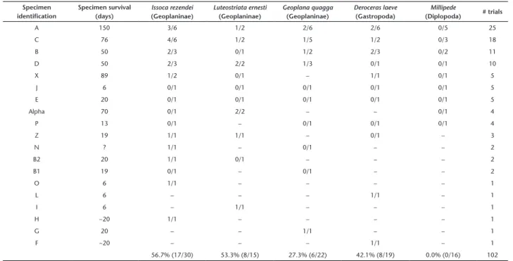 Table 1. Survival and predation rate (indicated as preyed/offered) of 19 specimens of Obama anthropophila when fed with one out of five  different types of prey species under laboratory conditions