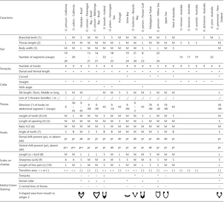 Table 1. Main characters used to distinguish Owenia species (modified from Koh and Bhaud 2003).