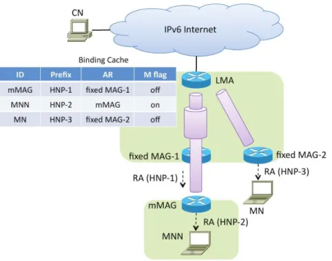 Figure 2.13: N-PMIPv6 Arquitecture [43]