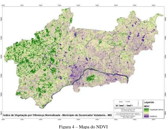 Figura 4 – Mapa do NDVI 