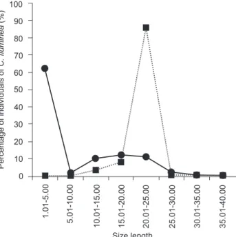 Figure 2. Corbicula spp. mean density at sampled localities and  previous density values for the same localities (Darrigran 1992b)