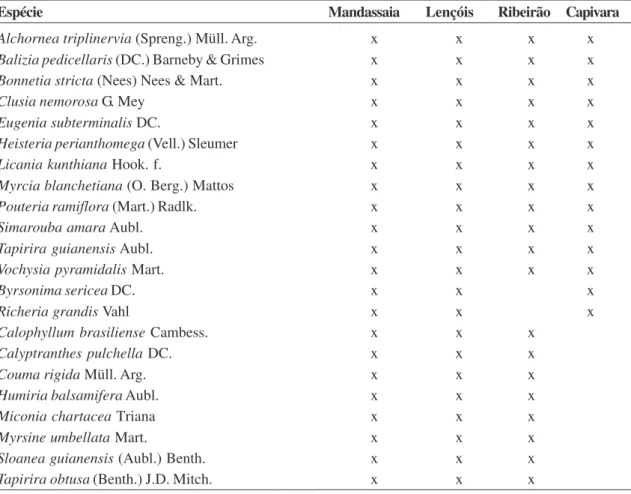 Tabela 2 – Lista das espécies arbóreas presentes nos levantamentos florísticos das florestas ciliares da bacia Santo Antônio: rio Mandassaia (este estudo), rio Lençóis (Funch 1997) e rios Ribeirão e Capivara (Stradmann 1997, 2000).
