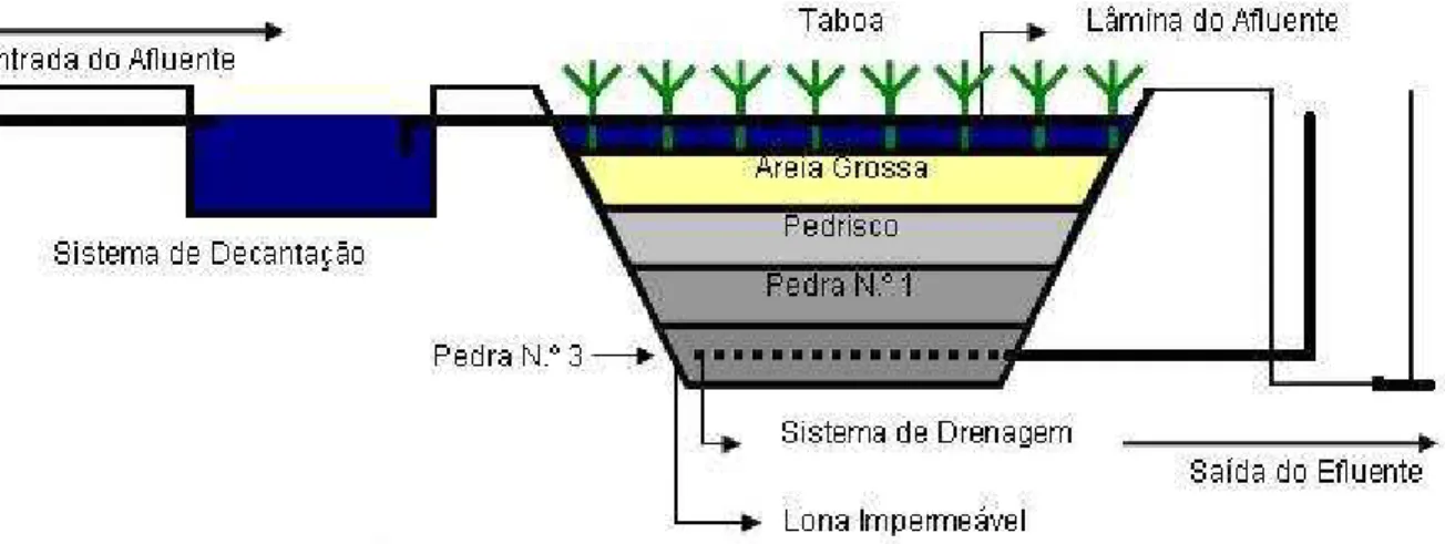 Figura 1. Desenho esquemático do primeiro sistema de alagados construídos com plantas  emergentes com fluxo vertical