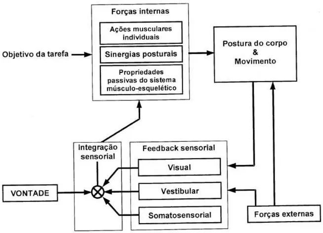 Figura 1 - Diagrama conceitual do sistema de controle postural (Analise extrabiometrica da  postura ereta humana quase-estática)