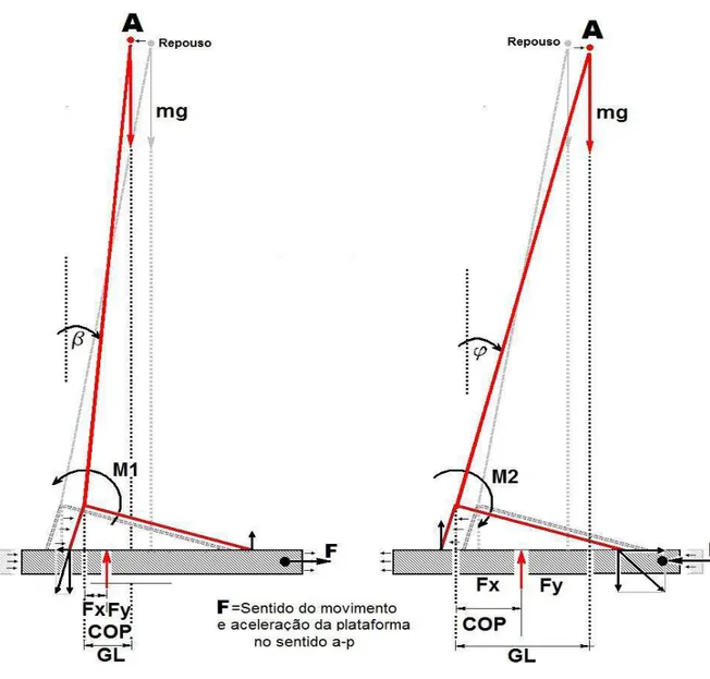 Figura 5 - Esquema do modelo simplificado de pêndulo invertido mostrando o deslocamento  do ponto A, quando a força F se desloca ora para a direita ora para a esquerda, mostrando  como consequência grandes deslocamentos do GL (COG) e COP