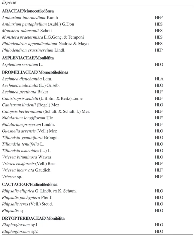 Tabela 2 – Lista das espécies de epífitas vasculares e suas categorias ecológicas amostrados em floresta de restinga na planície litorânea da Praia da Fazenda, Núcleo Picinguaba, Parque Estadual Serra do Mar (PESM), município de Ubatuba, SP (HLO = holoepíf