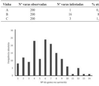 Figura 4. Distribuição de frequências dos orifícios ao longo do sarmento (1=gomo da coroa) rea- rea-lizados por Amphicerus bimaculatus (Olivier)