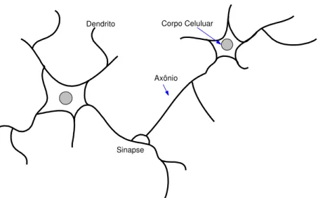 Figura 2. Neurônio Biológico.