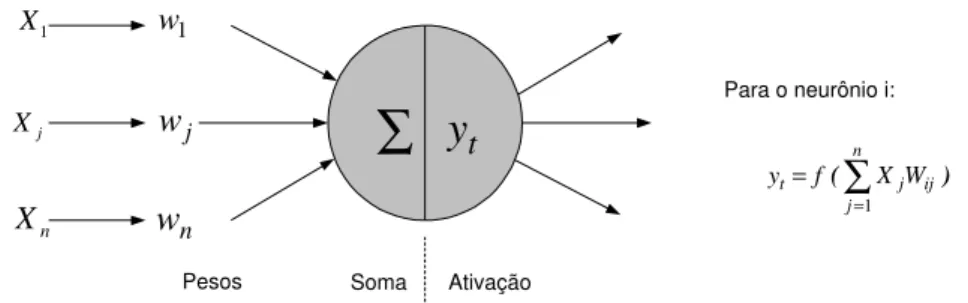 Figura 4. Processamento da informação.