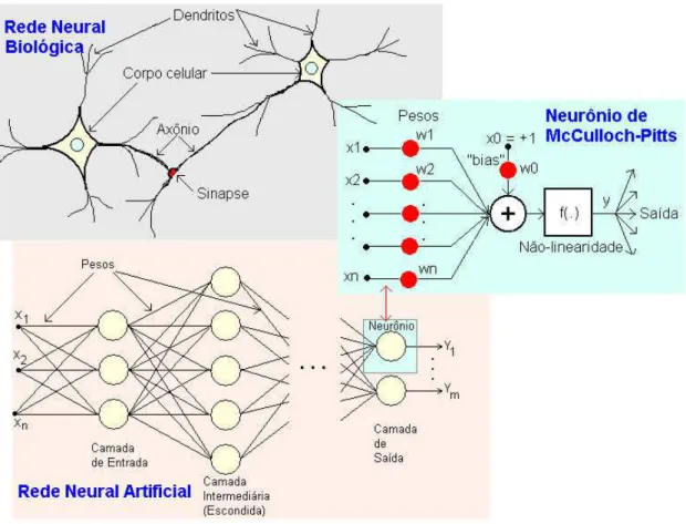 Figura 5. Representação do neurônio biológico, neurônio artificial de  McCulloch-Pitts e da estrutura básica de uma rede neural.