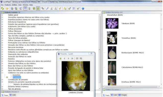 Figure 1 – Key to the genera of seed-bearing plants of the Ducke Reserve created in the software  Lucid 3.5 