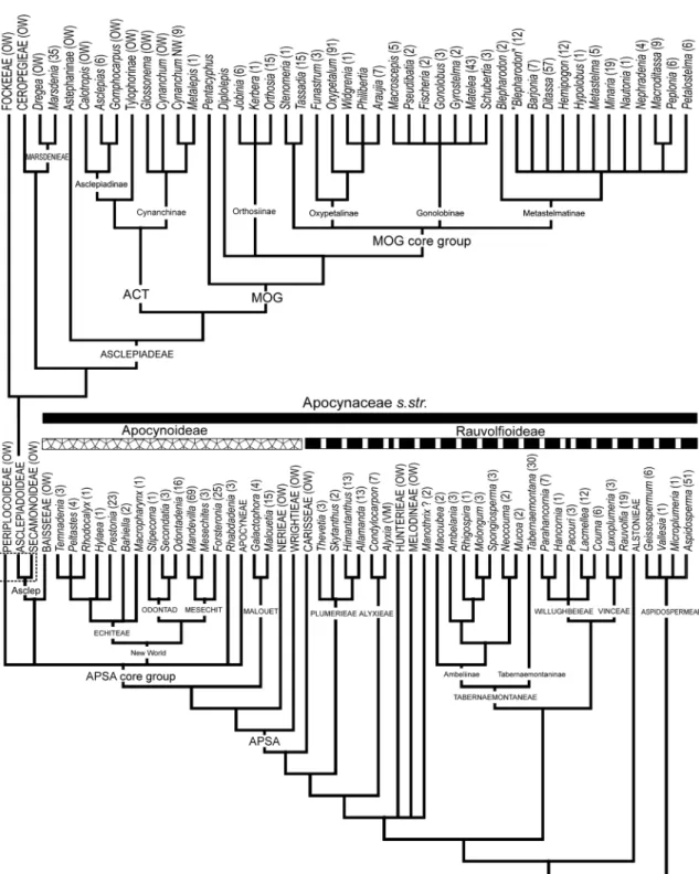 Figure 1 – Reconstructed phylogenetic hypothesis based on the studies discussed in this work