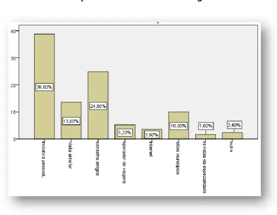 Gráfico 10 - O que determinou a visita 