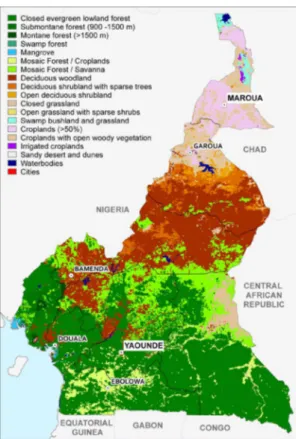 Figure 2 – Vegetation cover in Cameroon (source: 
