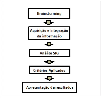 Figura n.º 4 – Fluxograma das Fases de Trabalho