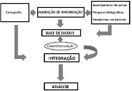 Figura n.º 5 - Etapas da Fase de Aquisição da Informação e posterior Análise  