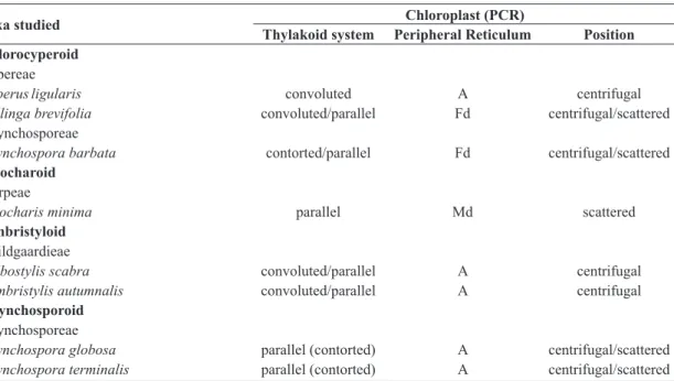 Table 1 – Chloroplast features of the vascular bundle sheath cells (PCR) in the Cyperaceae studied species (A =  absent; Fd = few developed; Md = moderately developed)