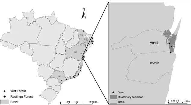 Figure 1 – Map of Brazil showing the locations of the areas used in the similarity analyses; circles indicate Restinga  forests, and triangles wet forest areas