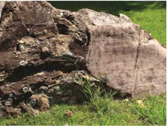 Figura 7: Rocha Moutonnée (Salto –SP), com tilitos de alojamento (à esquerda) em contato com a  superfície estriada do granito