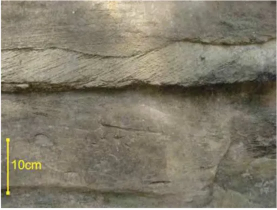 Figura 11: Estratificações cruzadas tabulares em arenitos grossos, com topo escavado por  subsequentes fluxos erosivos (Ponto 26 - Parque das Monções, Porto Feliz).