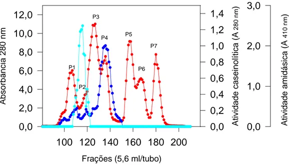 Figura 3 - Cromatografia do veneno bruto de L. m. muta em coluna de Sephacryl  S-200.  2,0 g de veneno bruto (1664 mg de proteína) foram dissolvidos em 16 ml  de  tampão acetato de  amônio 50 mM  pH  7,3,  contendo  NaCl  0,3 M