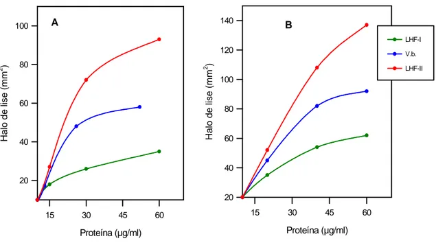 Figura 7- Atividade fibrinolítica das mutalisinas I e II (LHF-I e LHF- II) e veneno de  L