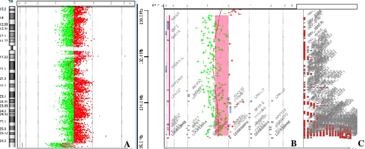 Figura  6. A  - Perfil de  aCGH para o cromossoma 10, representando a  deleção  de 4.3  Mb em 10q26.3; B - Constituição génica do segmento envolvido na deleção e perfil das  CNV’s descritas na DGV (C) (Imagem cedida pelo LCG-FMUC)