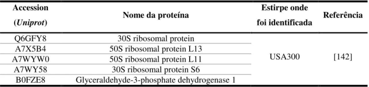Tabela 1. Proteínas ribossomais identificadas na superfície exposta da célula. 