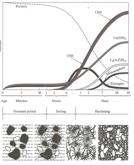 Figura 2.29- Descrição esquemática dos produtos e microestruturas formados durante a hidratação do  cimento Portland (YOUNG et al., 1998)