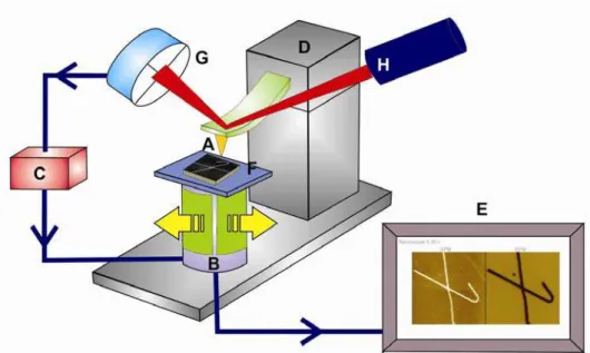 Figura 1. Desenho esquemático dos componentes comuns a todos os Microscópios  de Varredura por Sonda Mecânica