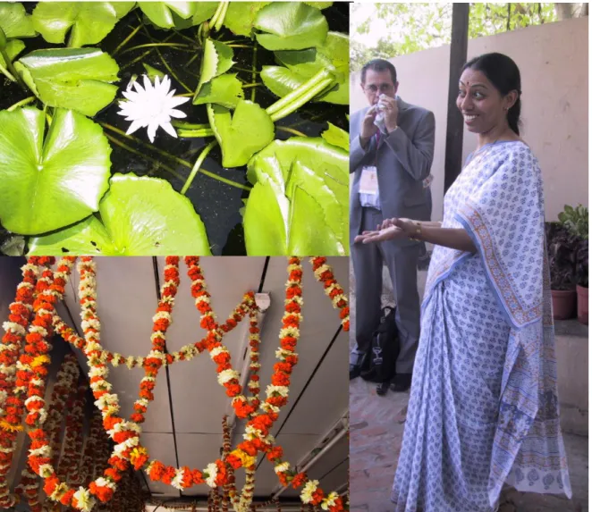 Figura 18  –  A flor de lótus (acima, à esquerda) e o jasmim (abaixo, à esquerda) aparecem com frequência na  iconografia têxtil hindu, assim como buti e  buta, presentes na padronagem do sári de algodão que a mulher  Punjabi veste para recitar textos do G