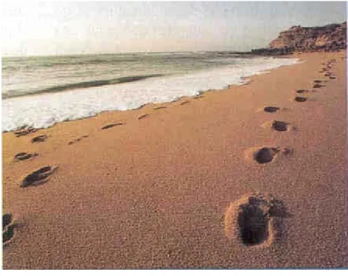 Figura 3 - Pegadas na Areia 
