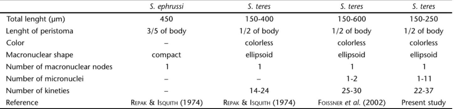 Table V. Morphological comparisons between similar species and populations of Spirostomum teres.