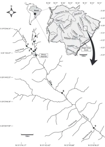 Figure 1. Study area and sampling sites in the Verde and São Domingos Rivers, Upper Paraná River Basin, Mato Grosso do Sul, Brazil.