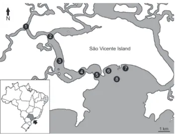 Figure 1. Estuary-Bay Complex of São Vicente, showing the sam- sam-pling locations in the estuary (transects 1, 2, 3 and 4) and in the bay (transects 5, 6, 7 and 8)
