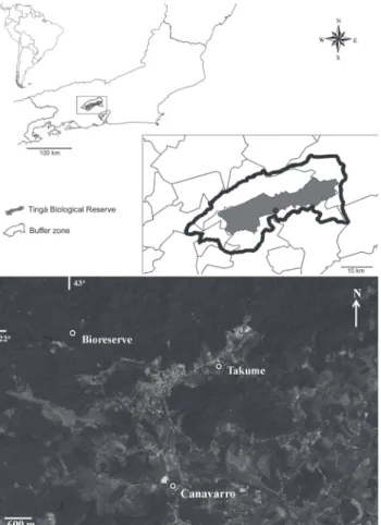 Figure 1. Location of the buffer zone and Tinguá Biological Re- Re-serve, state of Rio de Janeiro, with satellite image (Google Earth: