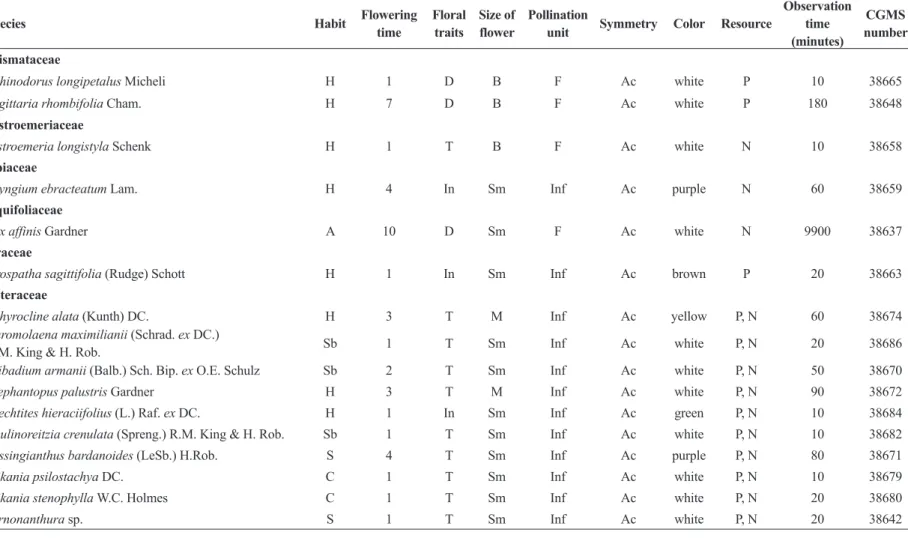 Table 1 – Plant species, habit, flowering time, floral traits, size of flowers, pollination unit, symmetry, color, resource, observation time and CGMS number recorded in  a vereda vegetation, Campo Grande, Mato Grosso do Sul, Brazil, from September 2012 to