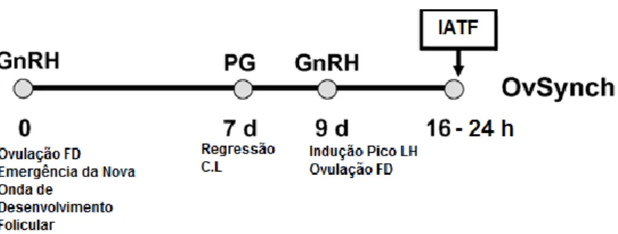 Figura 6. Protocolo Ovsynch. Adaptado de Cavalieri et al. (2006) 