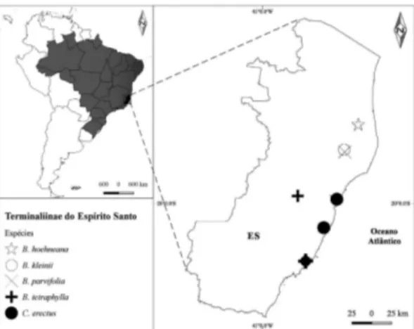 Figura 1 – Distribuição de Buchenavia e Conocarpus  no estado do Espírito Santo, Sudeste do Brasil.